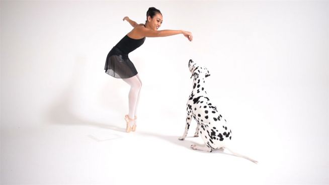 Ballettschule für Anfänger: Die Beinbewegungen