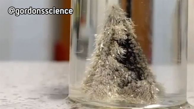 Weihnachtsbaum im Glas: Verblüffender Schnee-Effekt