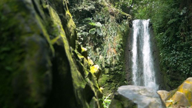 Traumort: die Wasserfälle von Bogor