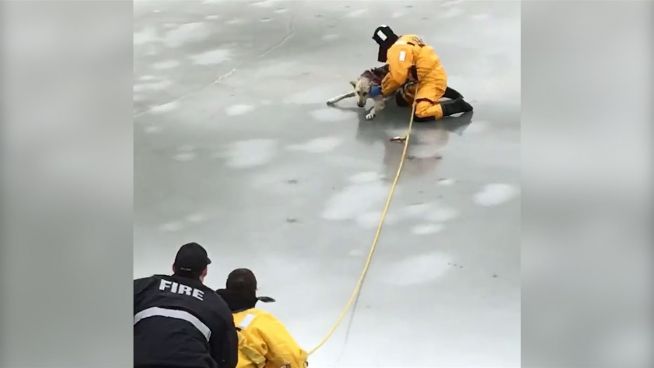 Dramatische Rettung: Feuerwehrmann verhindert Kältetod