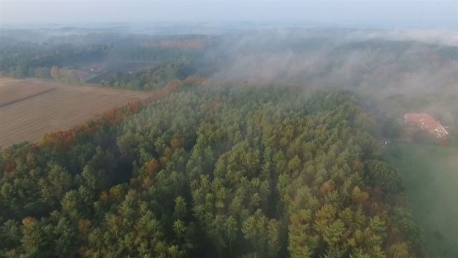 Über den Wolken: Drohnenaufnahmen zeigen Herbstpanorama
