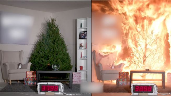 Brandgefährlich: Feuerwehr warnt vor Weihnachtsbäumen