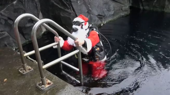 Weihnachten unter Wasser: Santa auf Aalfütterung