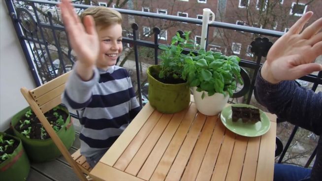 Paradies auf dem Balkon: Tipps für den eigenen ‘Garten’