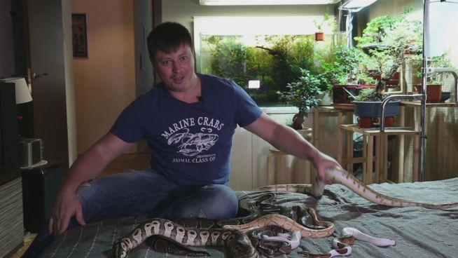 Schaurig: Diese Familie lebt mit 40 Schlangen zusammen