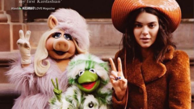 Model Miss Piggy: Muppet-Lady bei Fotoshoot mit Stars