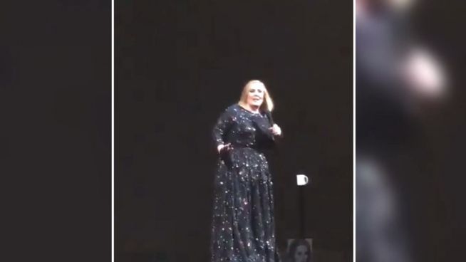 Bei Live-Konzert: Adele rastet wegen Fledermaus aus