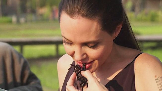 Eklig krabbelig: Angelina Jolie isst Insekten