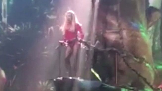 Während Konzert: Britney Spears bleibt an Baum hängen