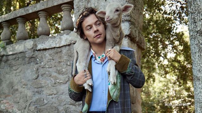 Für Gucci: Harry Styles posiert mit Baby-Tieren